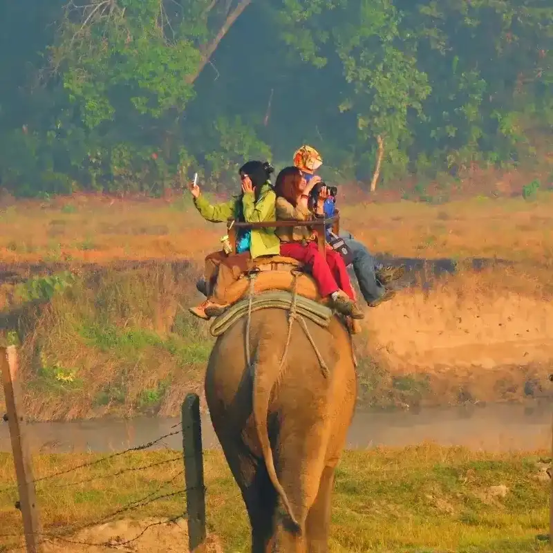 Chitwan National Park