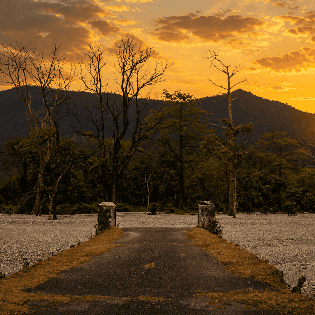 Picturesque Jayanti River Bed