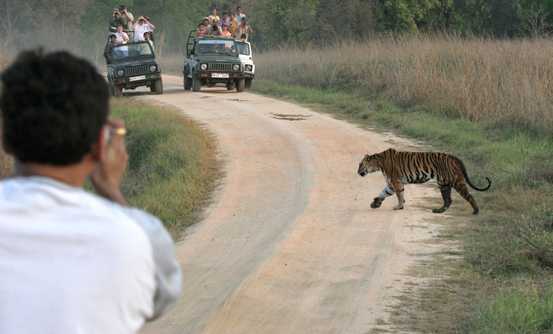 Banner image of Best Things To Do In Madhya Pradesh