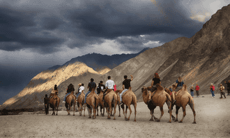 Banner image of Best Things To Do In Ladakh Tour