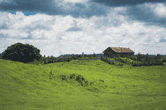 Image for Mawphanlur
