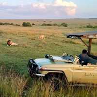 Maasai Mara - Perfect Choice!