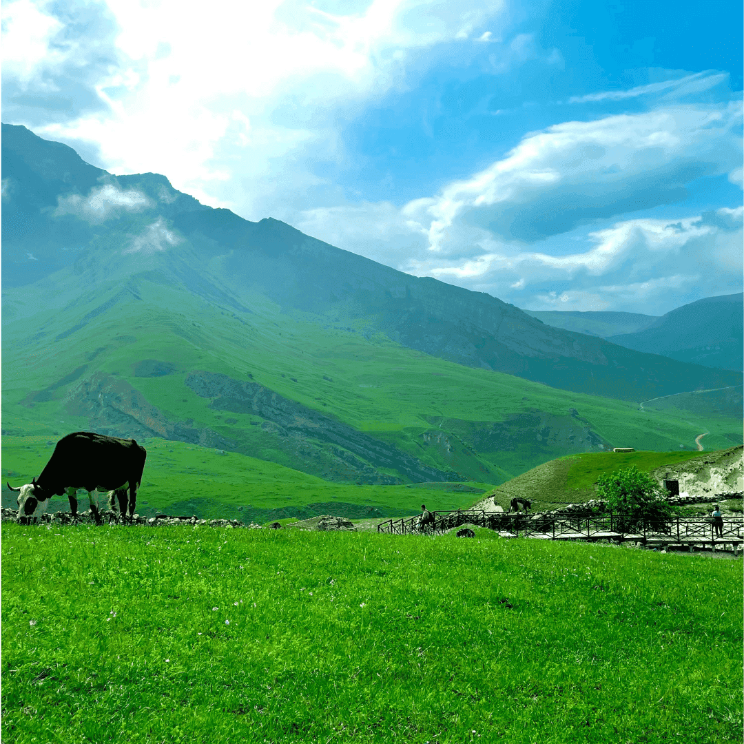 Laza Village, Qusar