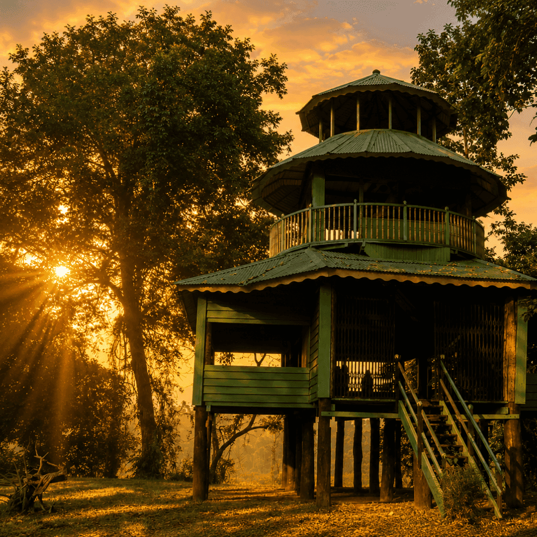 Forest Watch Tower at Dooars