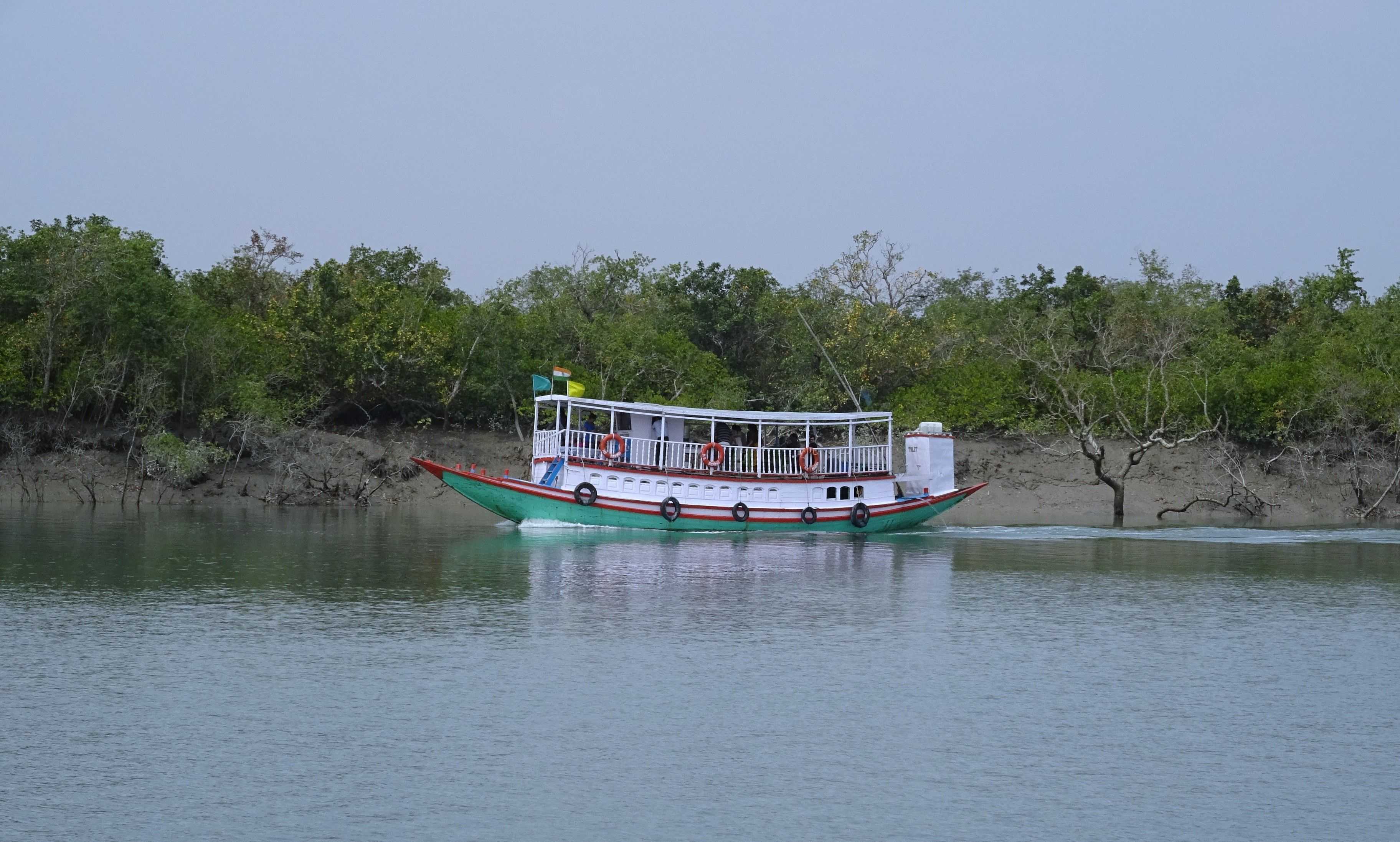 Largest Mangrove Forest in the World
