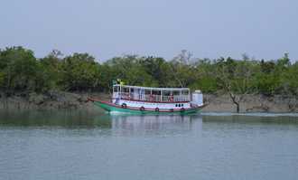 Banner image of Best Things To Do In Sundarban