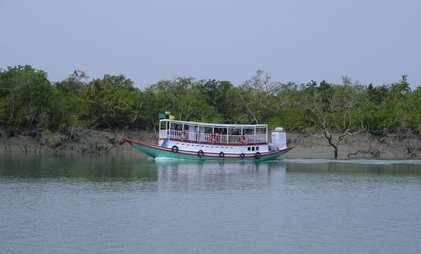 Card image for Best Things To Do In Sundarban
