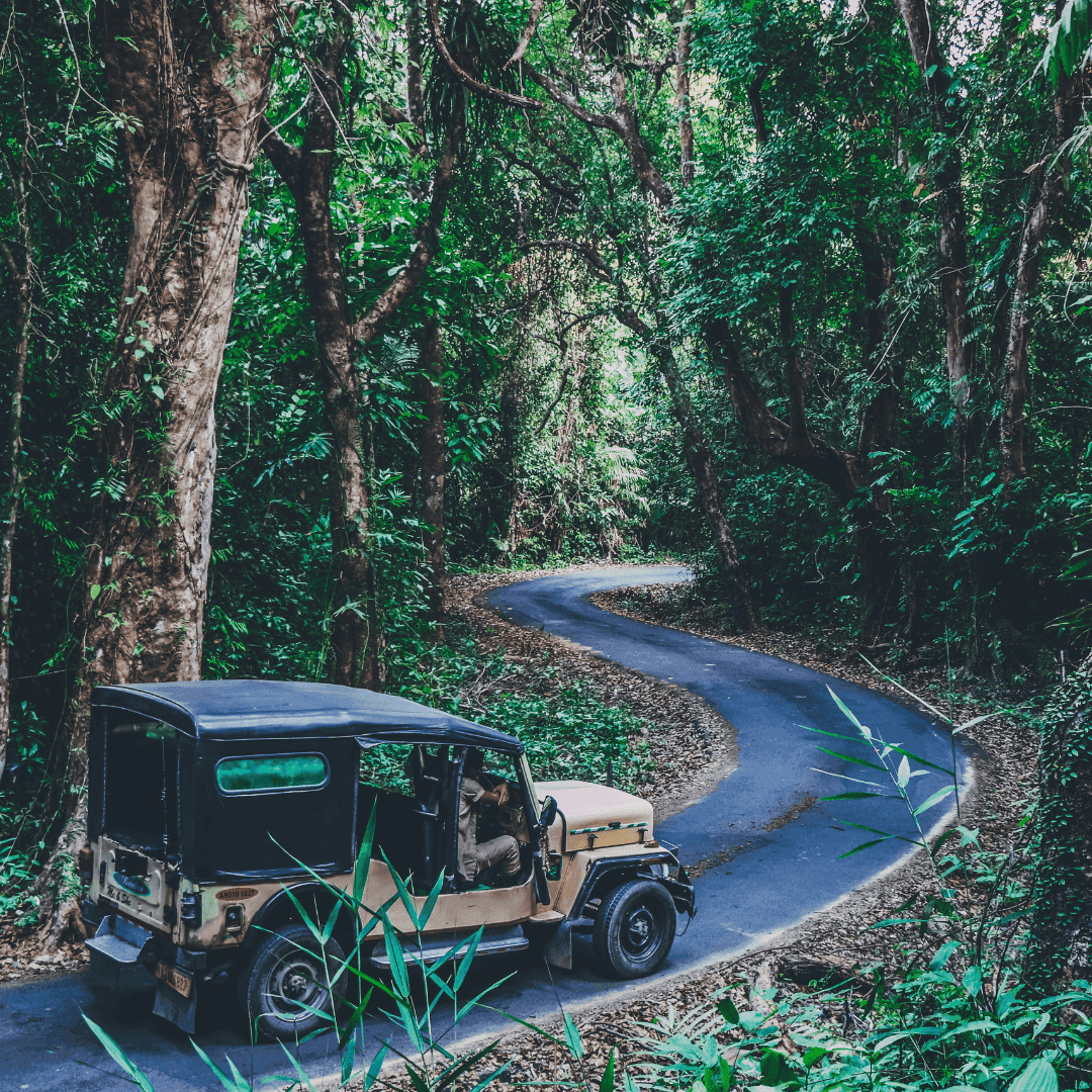 Mount Harriet National Park