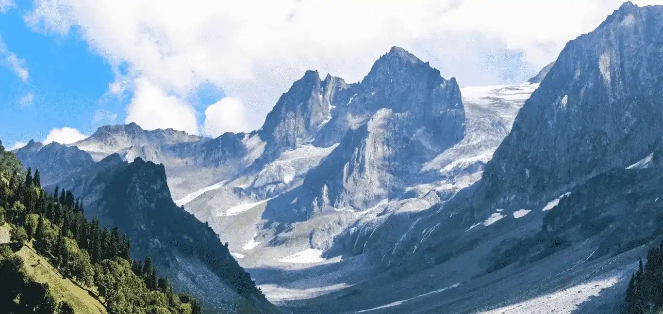 Form area background image
