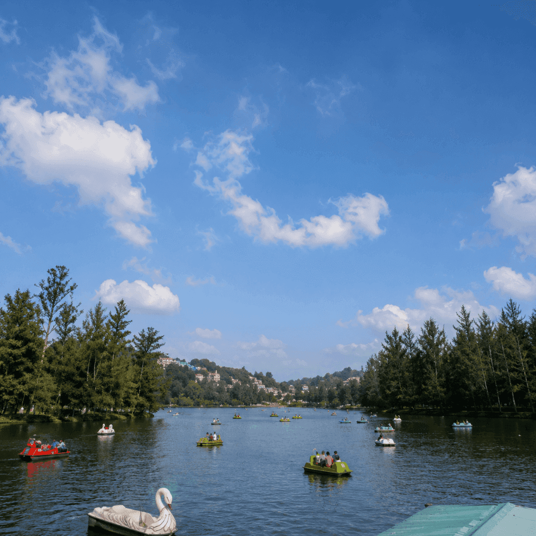 Ooty Lake
