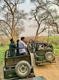 Thrilling Moments at Kaziranga