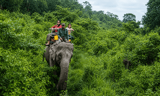 Banner image of Best Things To Do In Dooars