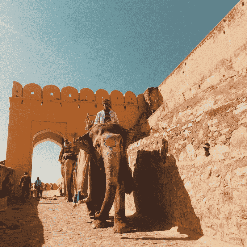 Memorable Royal Journey