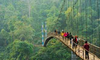 Banner image of Best Things to do in Meghalaya