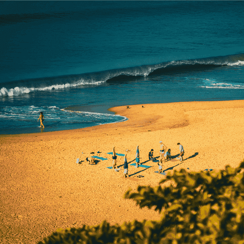 Stunning Varkala Beach
