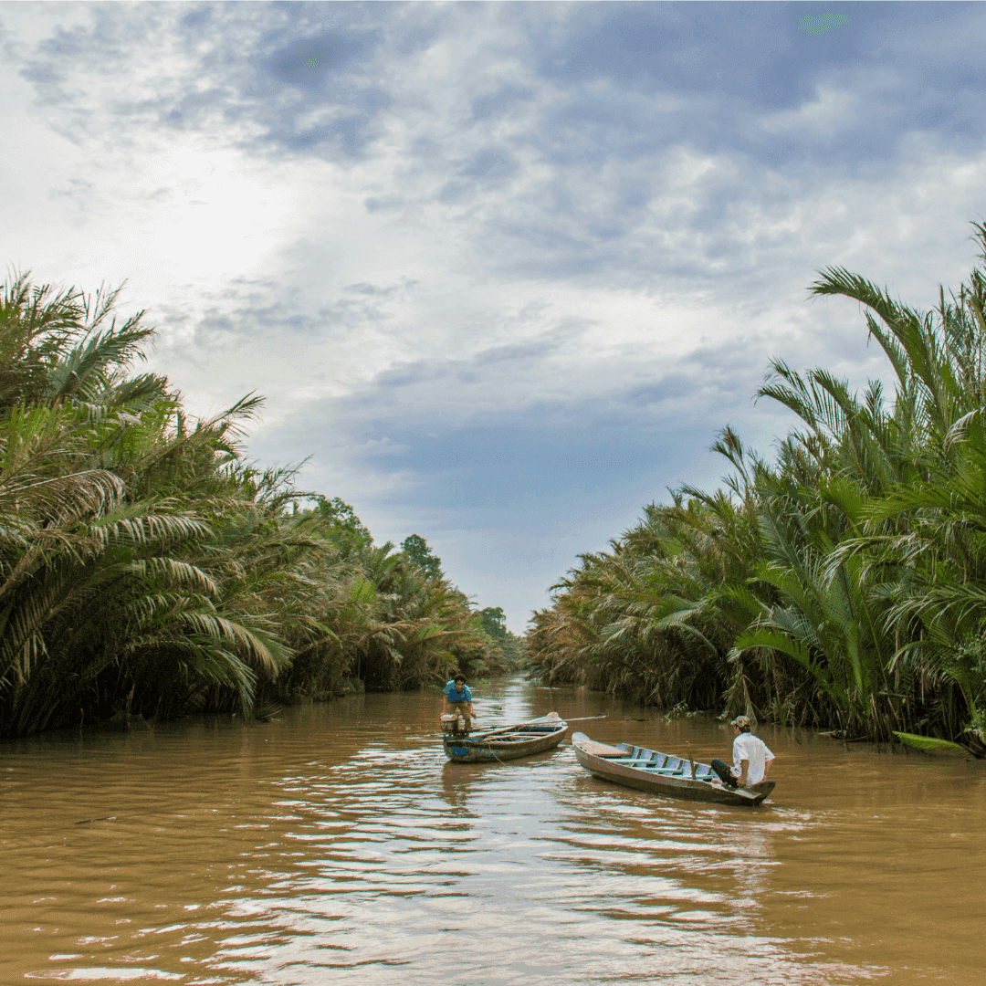 Mekong Delta
