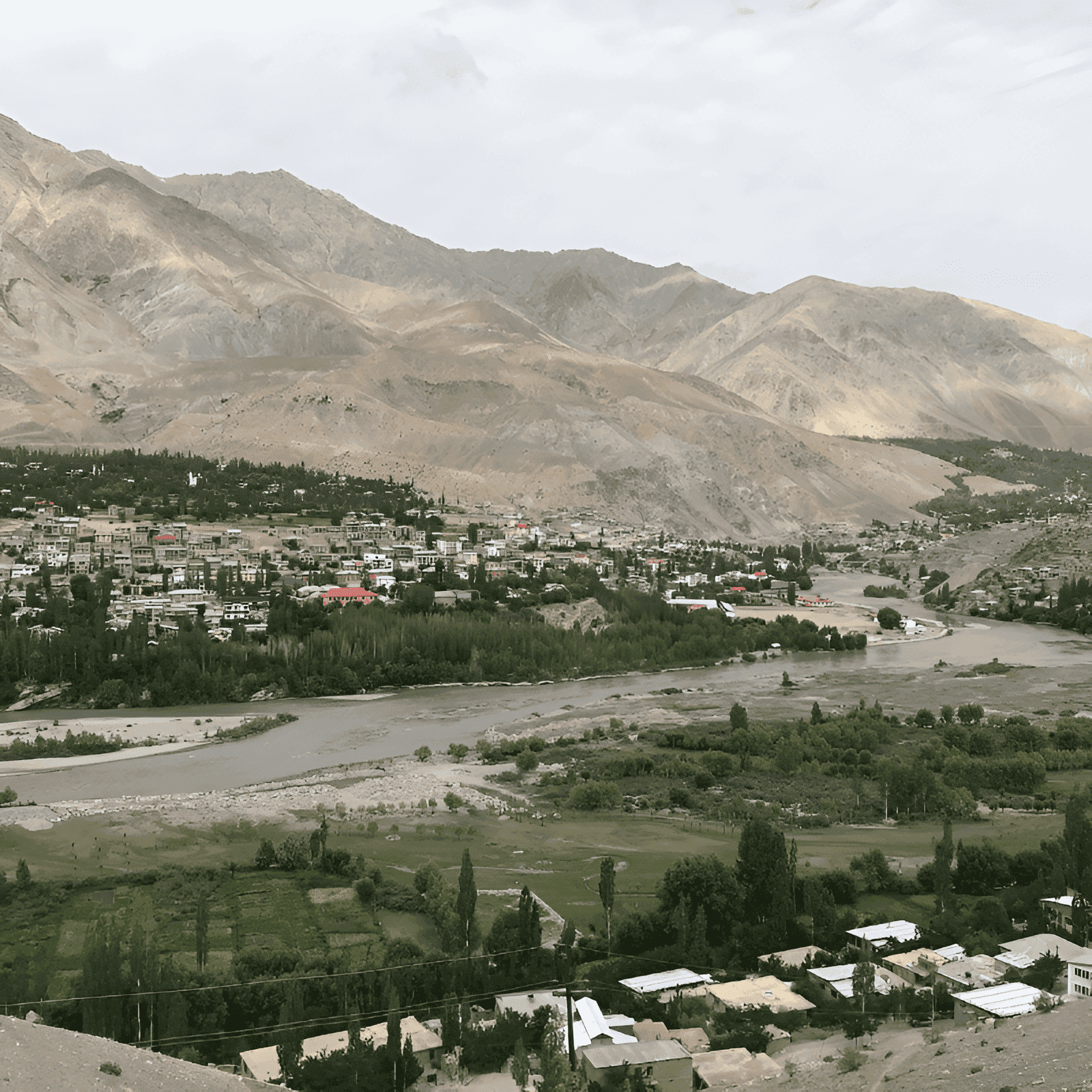 Picture Perfect Kargil