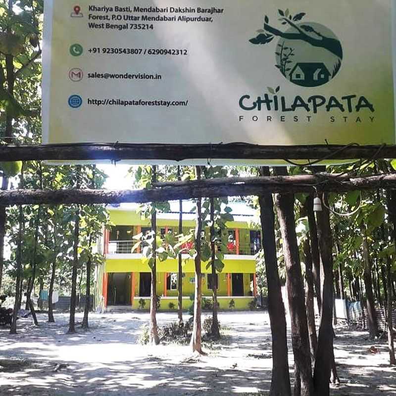Welcome to Our Forest Stay