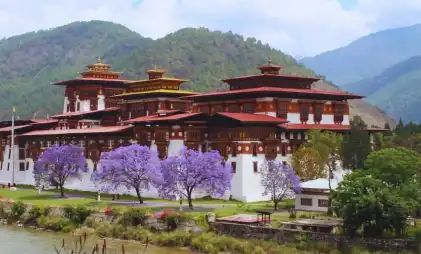 Card image for Best Things to Do in Bhutan