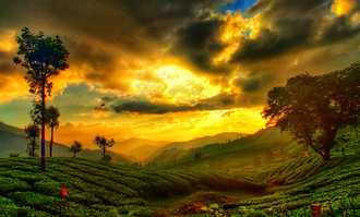 Banner image of Best Things To Do In Kerala