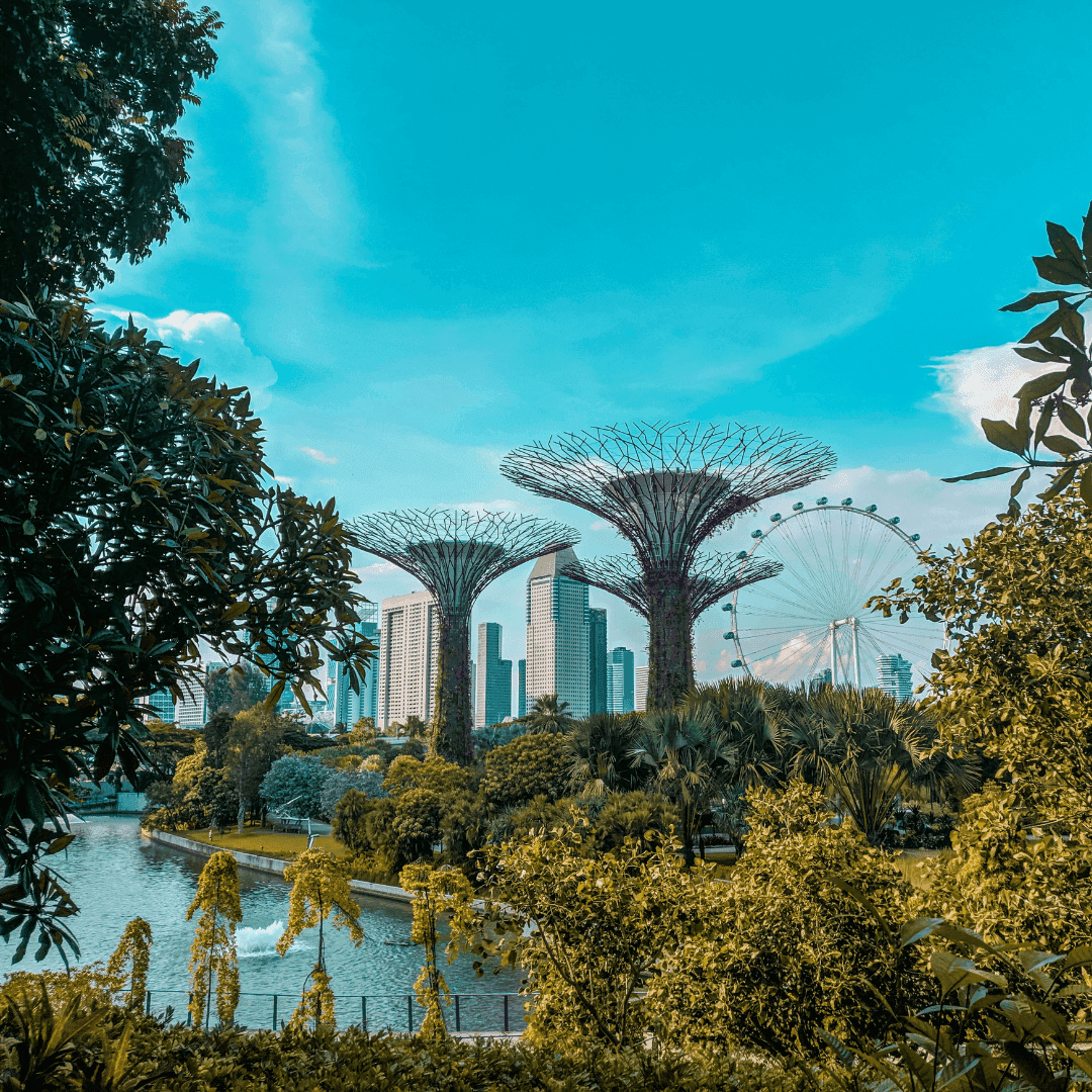 Gardens by the Bay