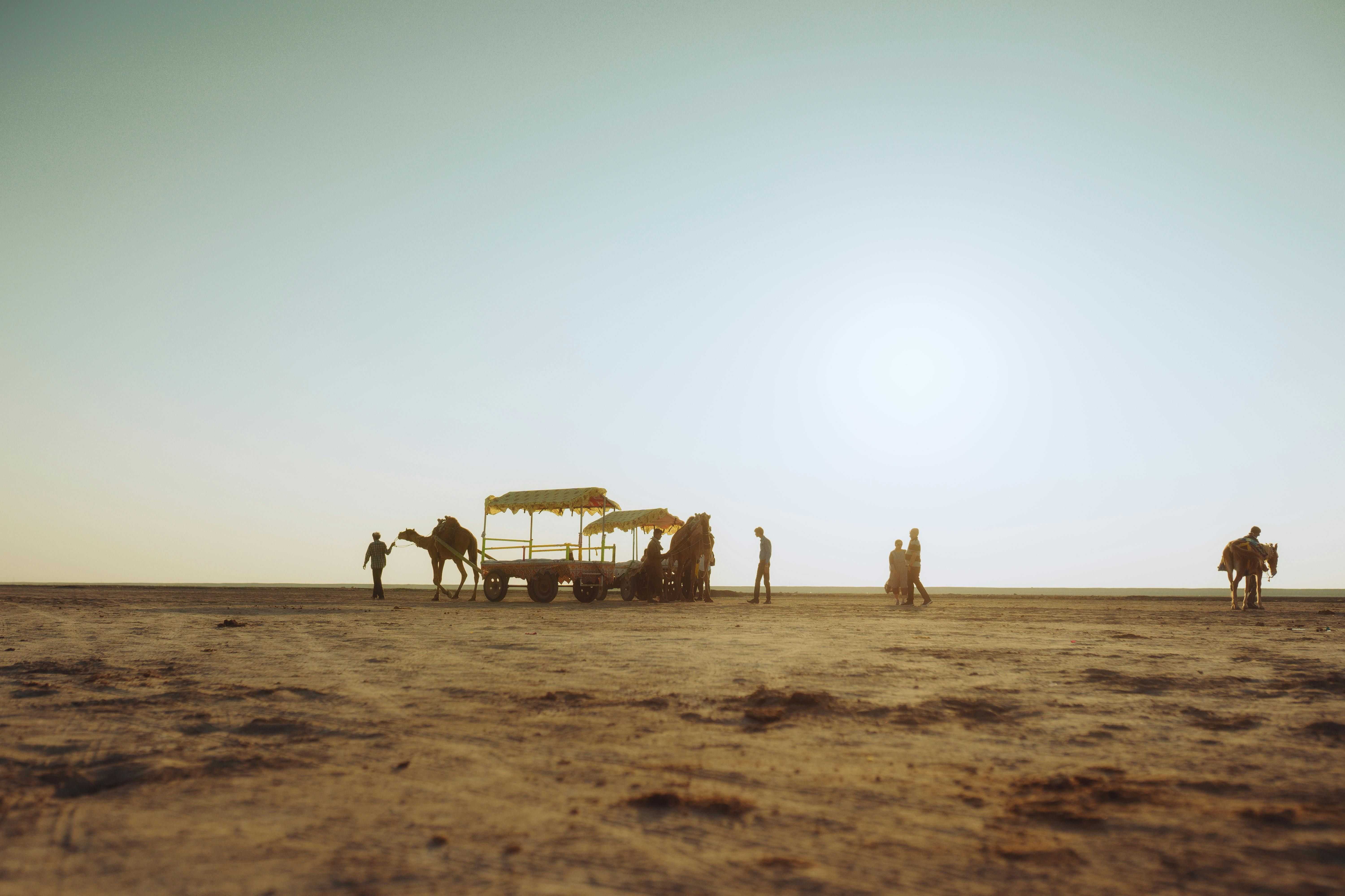 Camel ride at Rann of Kutch