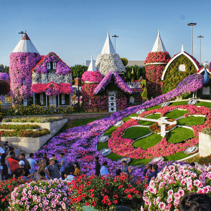 Dubai Miracle Garden