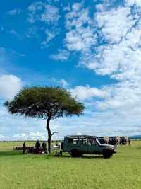 Bush Lunch Arrangement
