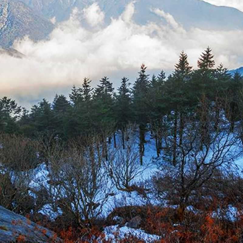 Pangolakha Wildlife Sanctuary