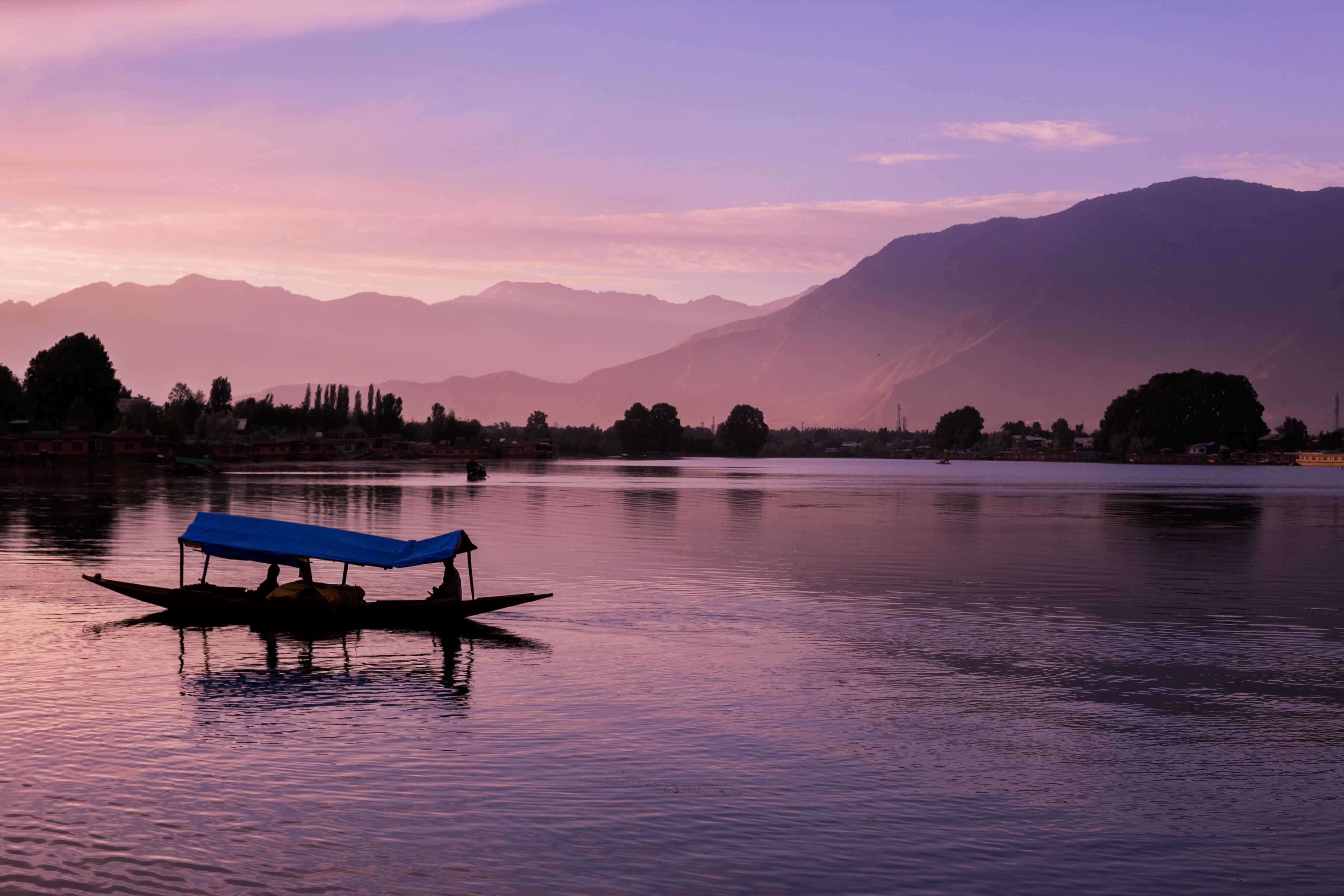 Shikara boats on Dal Lake at Srinagar