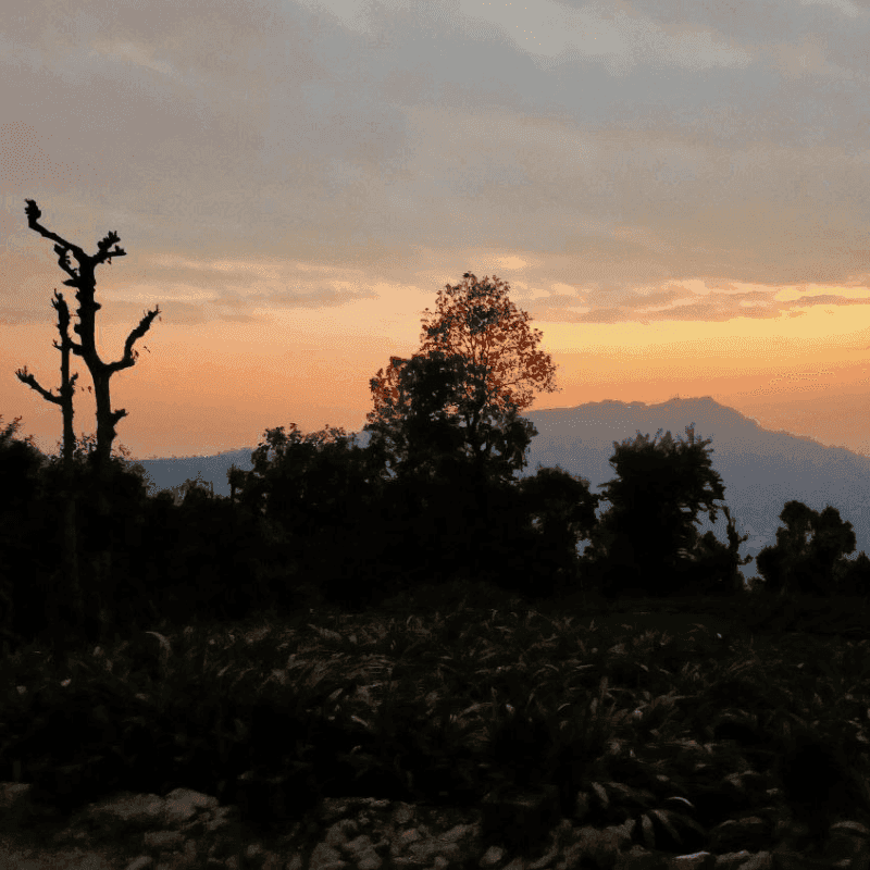 Golden Sunset