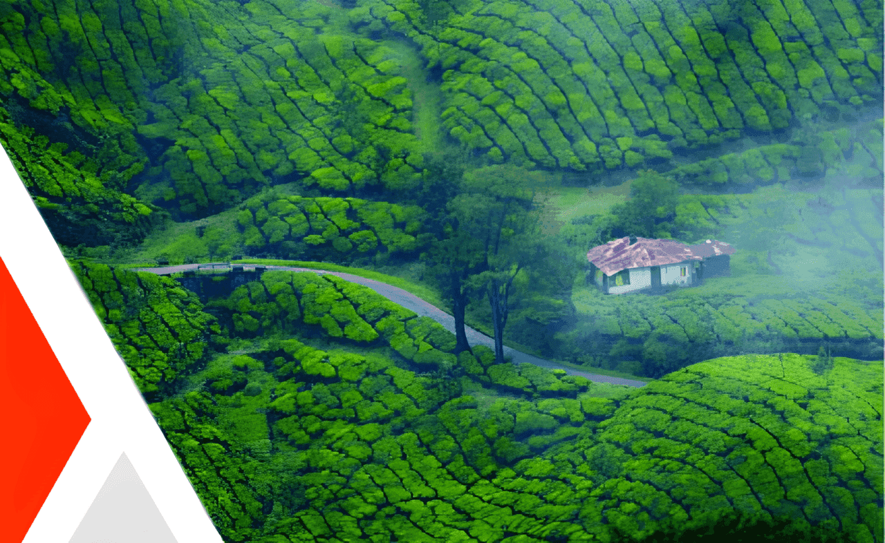 Featured Image for Kerala : The God’s Own Country