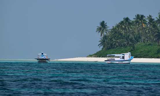 Banner image of Best Things To Do in Lakshadweep