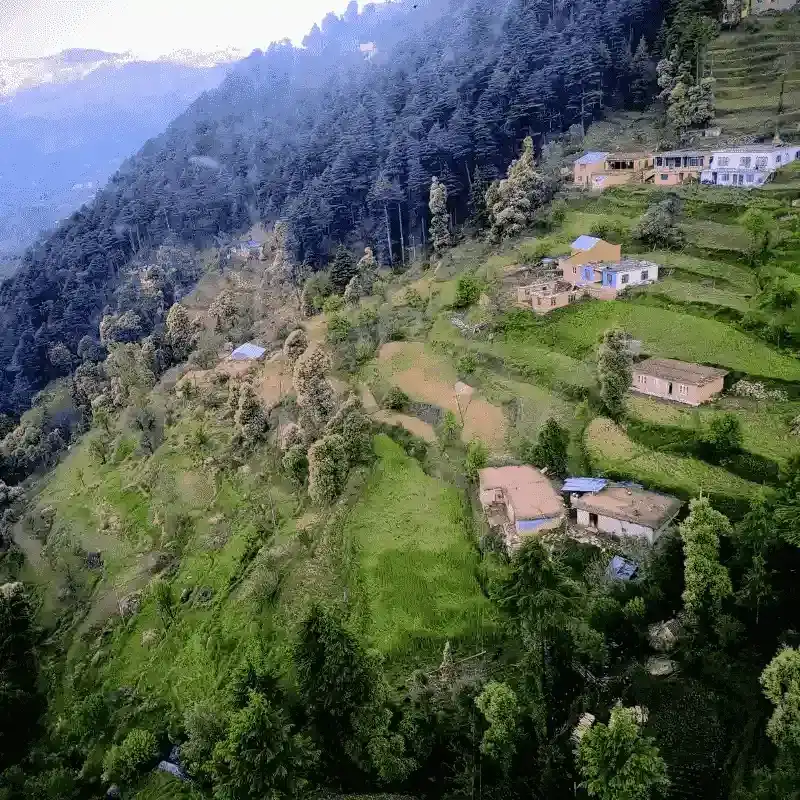 Colorful Patnitop