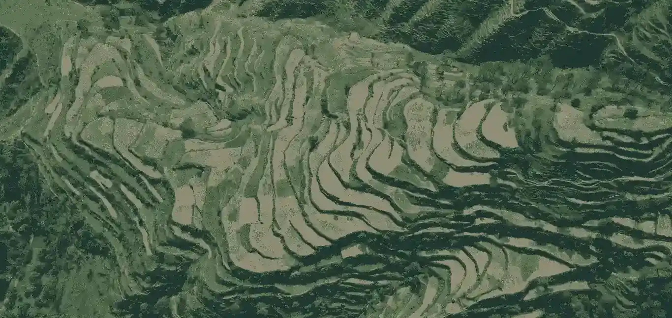 Form area background image