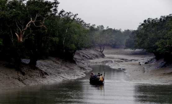 Banner image of Sundarban : The Forest Breathes and The Tiger Rules