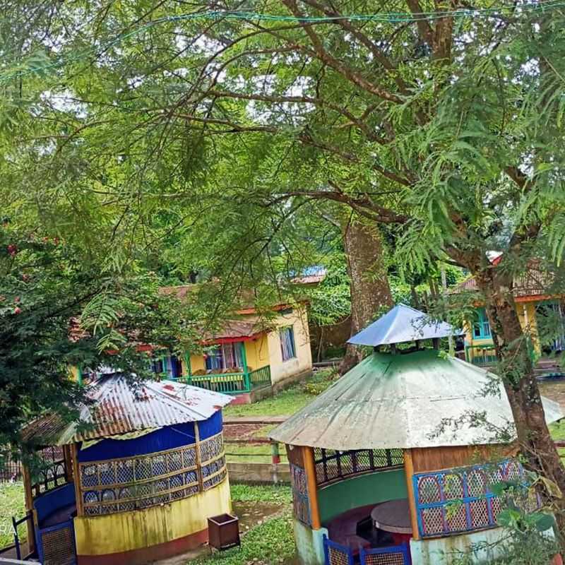 Stay Amidst The Green