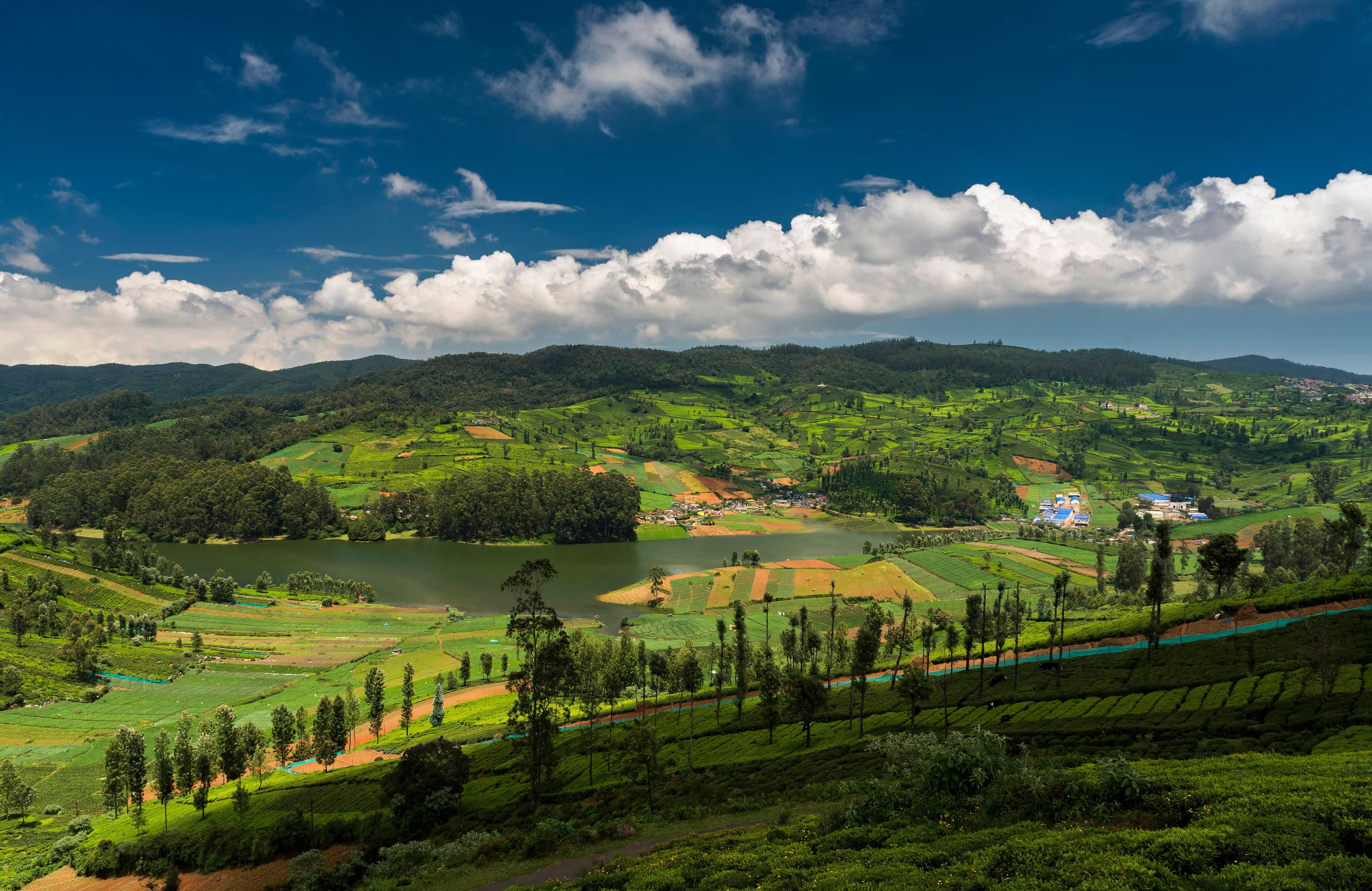 Tea plantations around the Emerald Lake in Ooty, Tamilnadu
