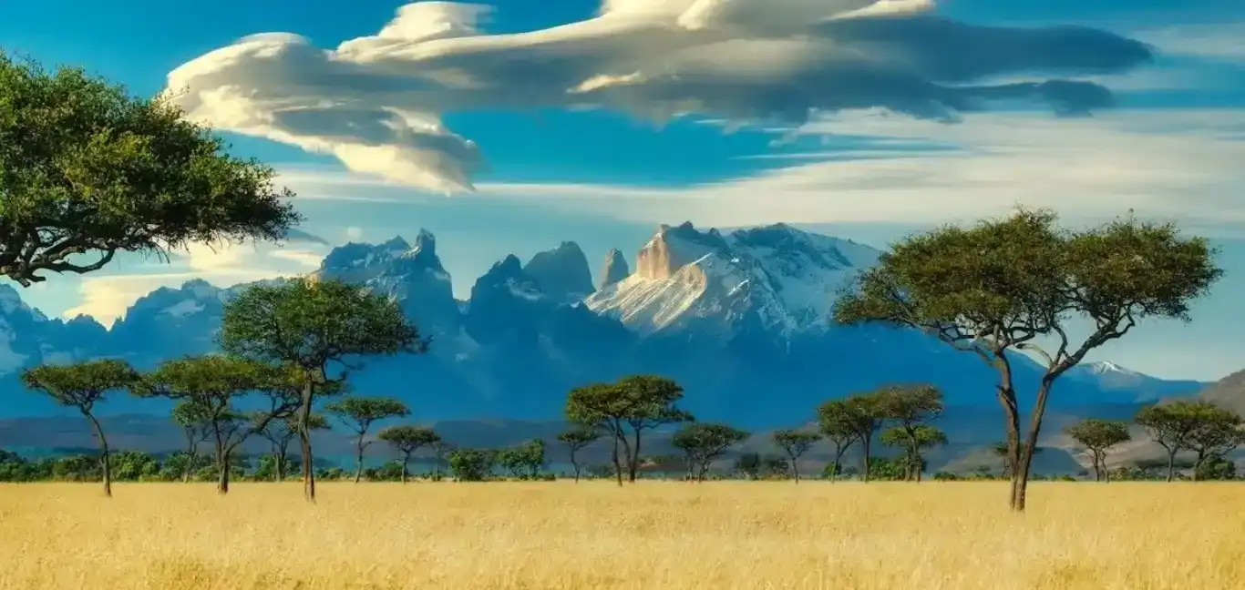 Form area background image