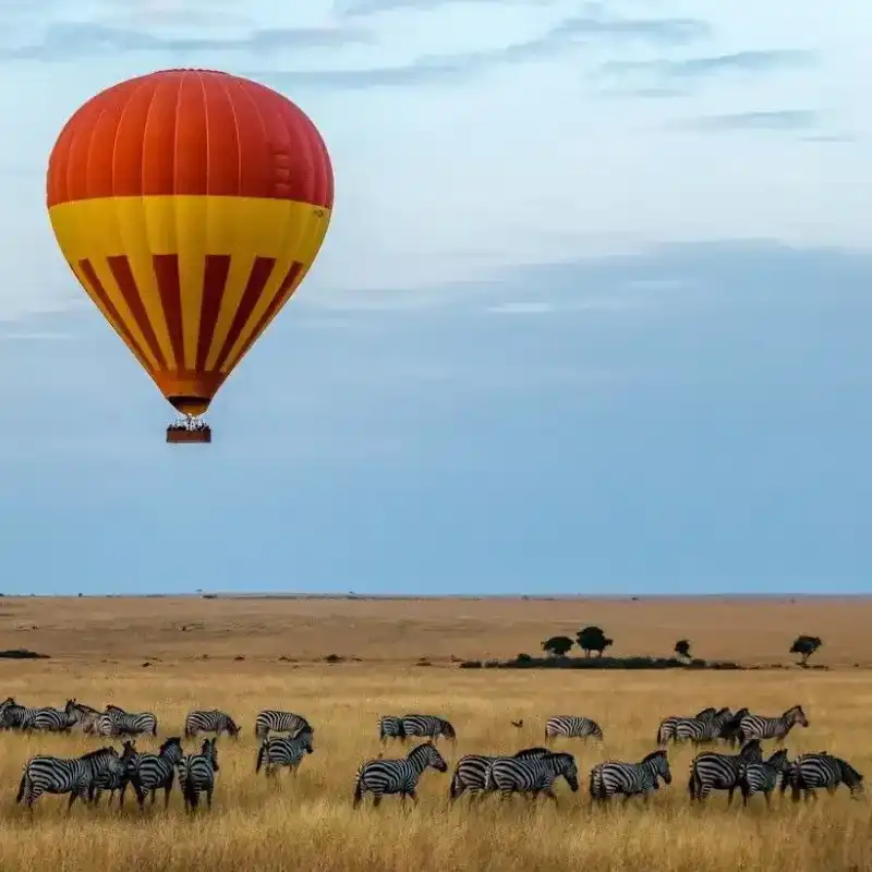 Hot Air Balloon Safari
