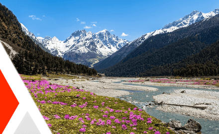Featured Image for Yumthang : Explore the Floral Valley