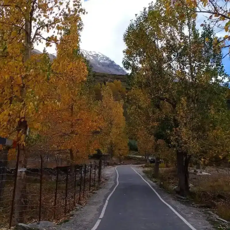 Colourfull Sissu Valley