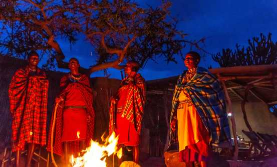 Banner image of Best Things To Do in Kenya Safari