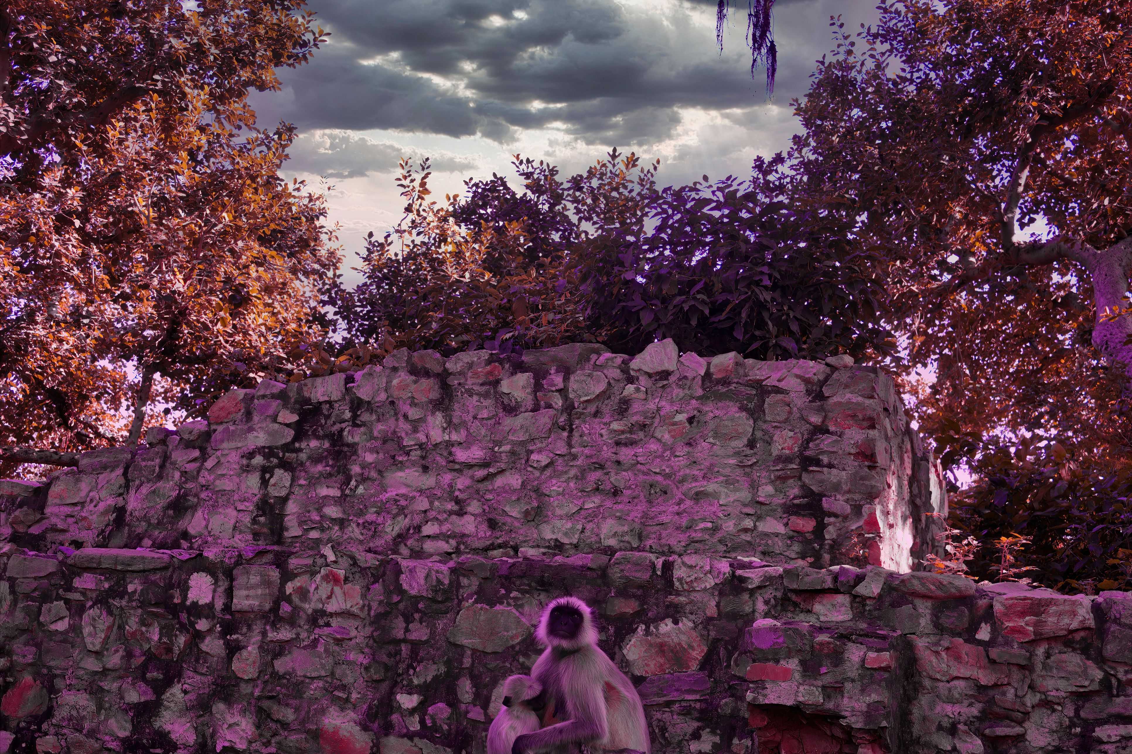 Bhangarh Fort in Rajasthan