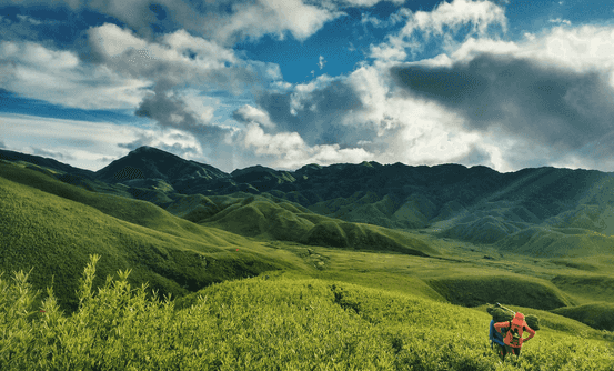 Banner image of Best Things To Do in Nagaland