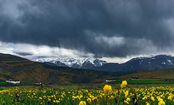 Banner image of Where Time Pauses to Bloom: A Journey into Uttarakhand’s Valley of Flowers