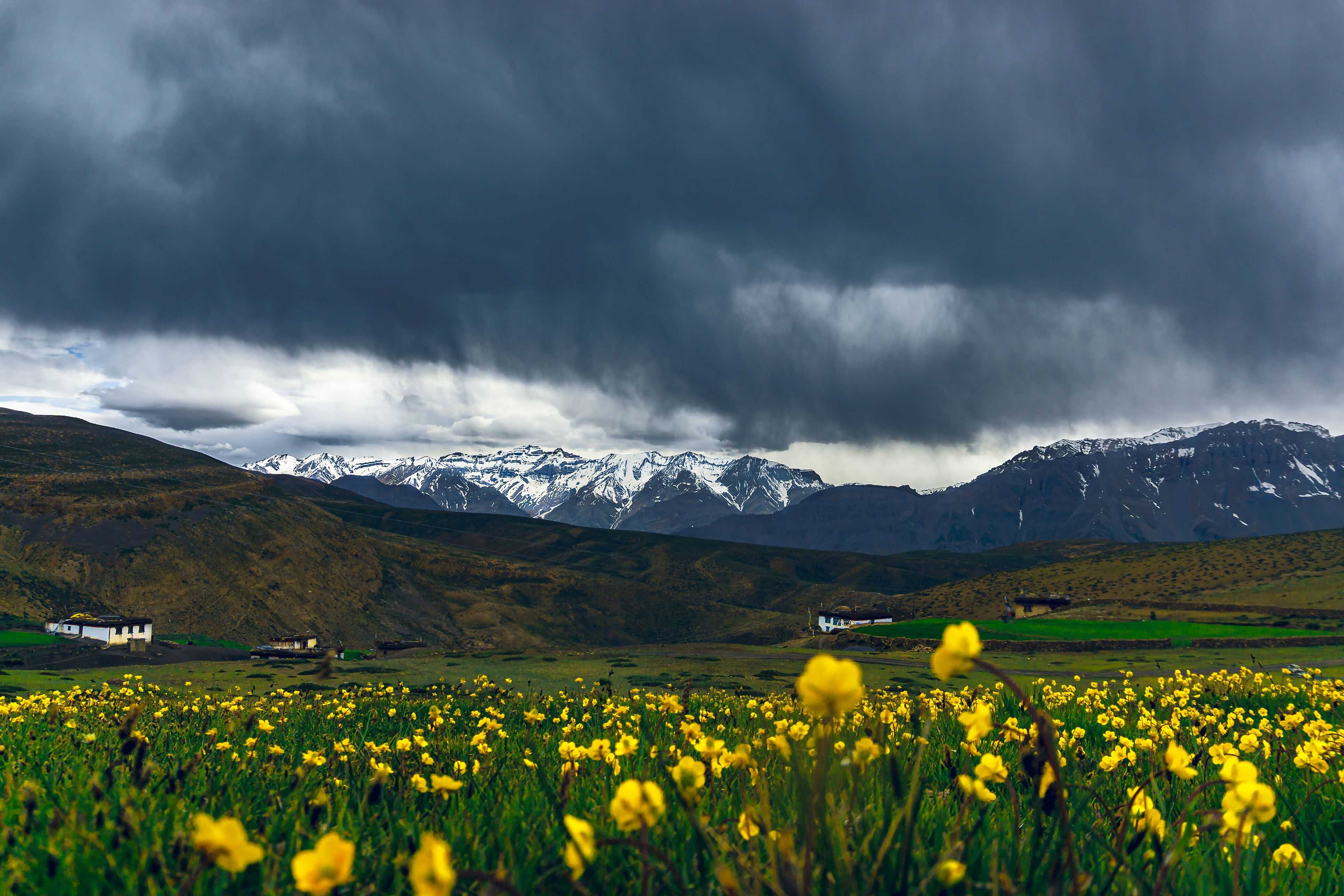 Valley of Flowers, Uttarakhand
