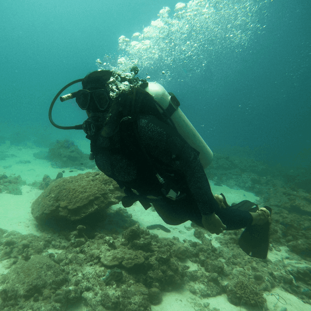 Scuva Diving