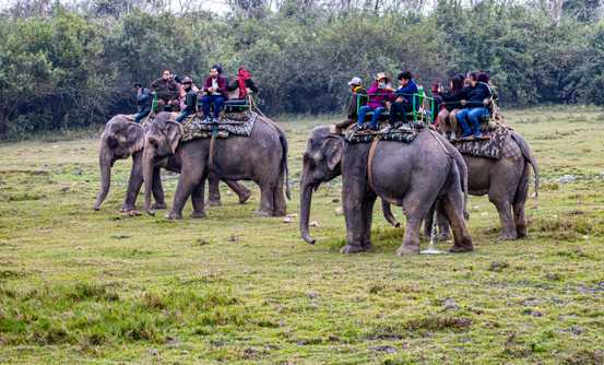 Banner image of Best Things To Do In Nepal