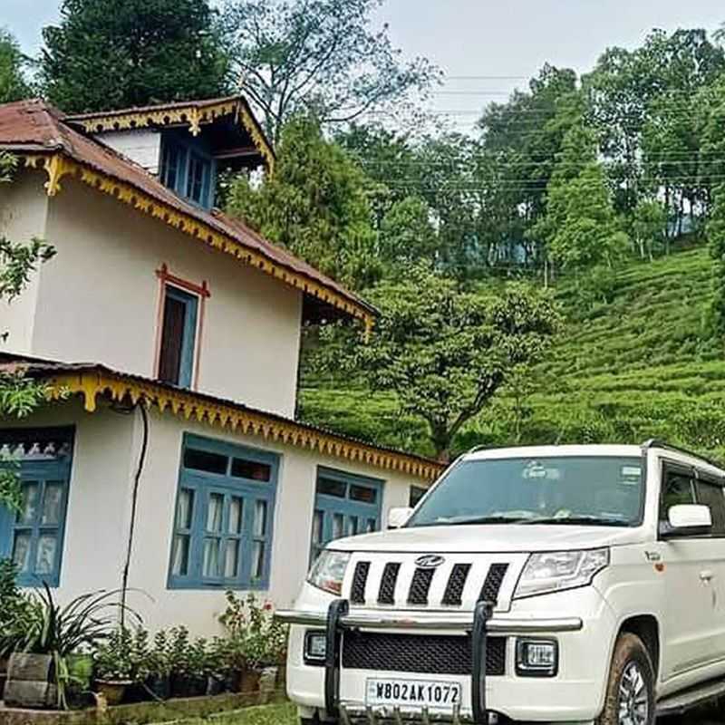 Stay Amidst The Green